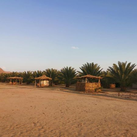Almazham Camp Resort Ал Ула Екстериор снимка