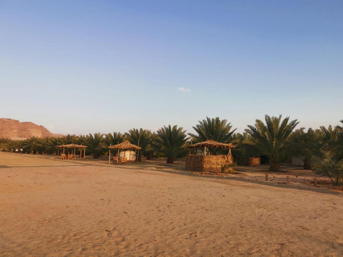 Almazham Camp Resort Ал Ула Екстериор снимка