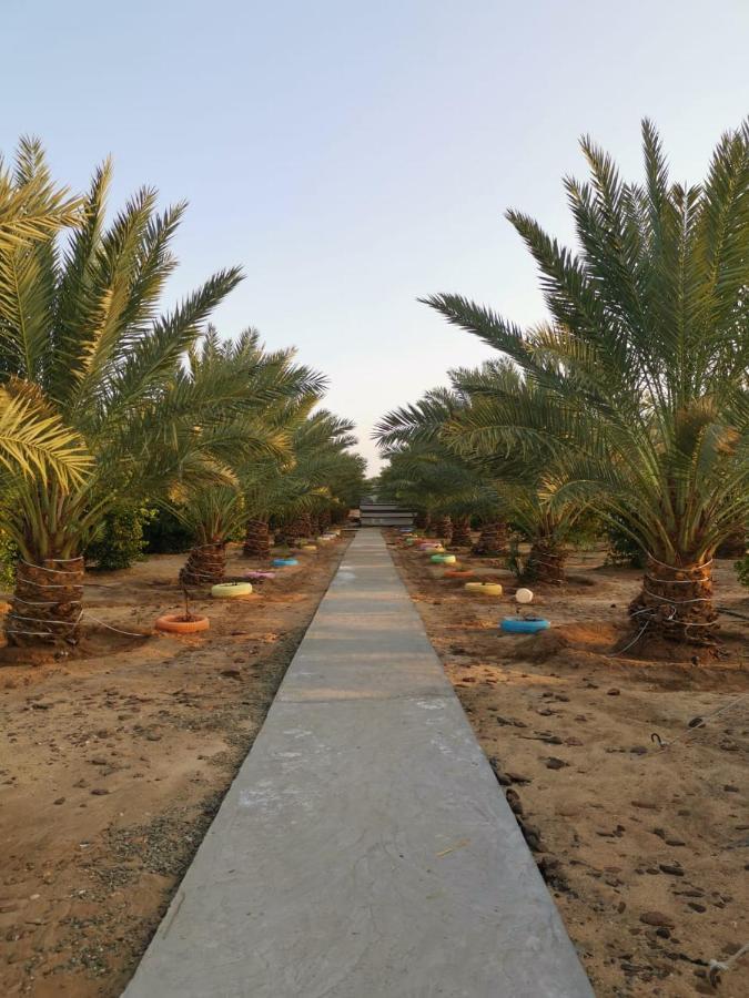Almazham Camp Resort Ал Ула Екстериор снимка
