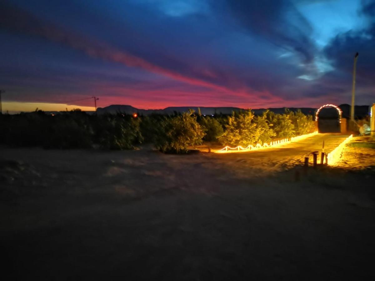 Almazham Camp Resort Ал Ула Екстериор снимка