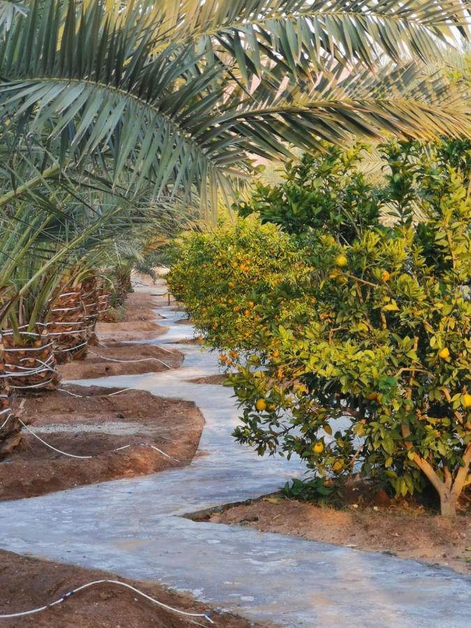 Almazham Camp Resort Ал Ула Екстериор снимка
